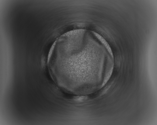 X0000100950135200807151345