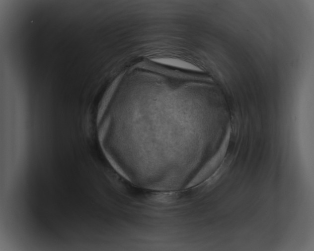 X0000100950136200807151345