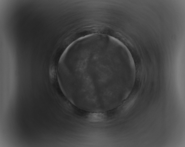 X0000100950137200807151345