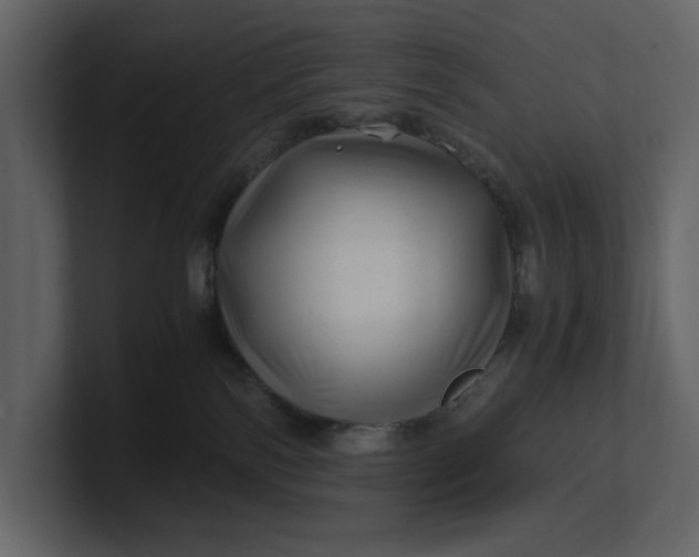 X0000100950138200807151345