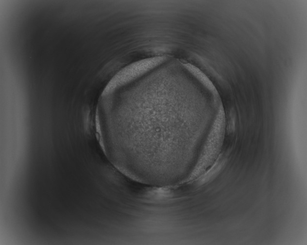 X0000100950140200807151345