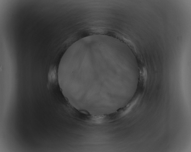 X0000100950143200807151345