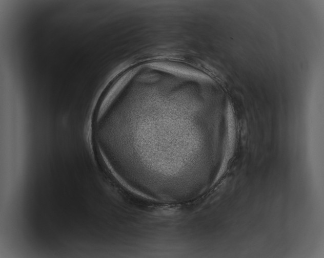 X0000100950148200807151344