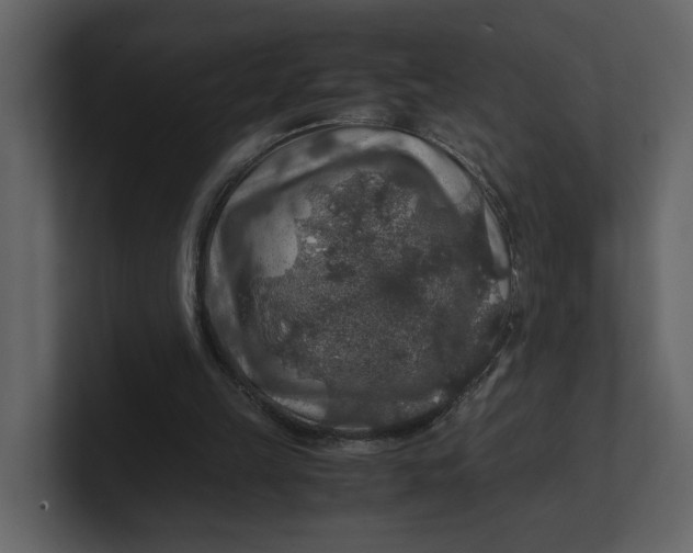 X0000100950149200807151344