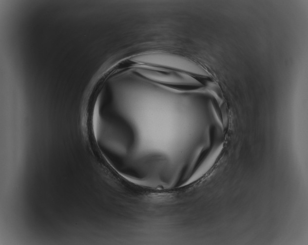 X0000100950150200807151344