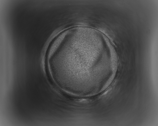 X0000100950151200807151344