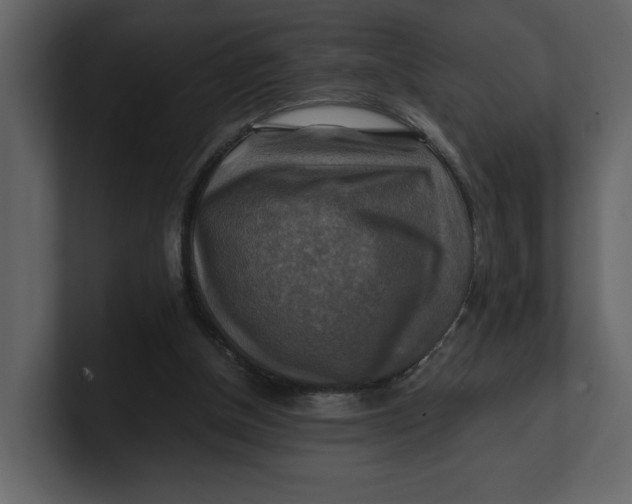 X0000100950154200807151344