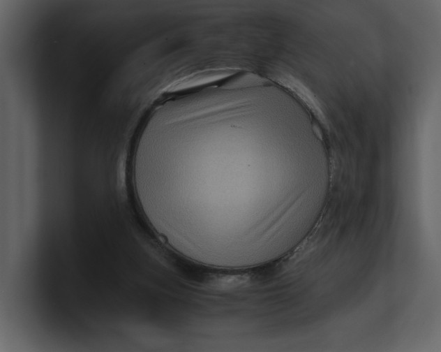 X0000100950155200807151344