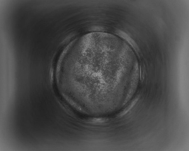 X0000100950157200807151344