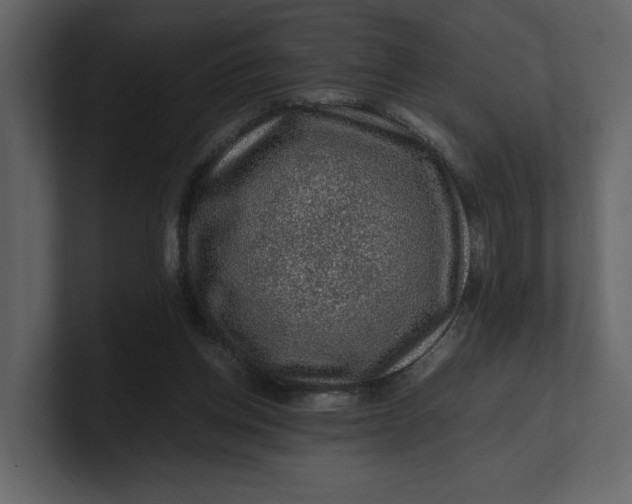 X0000100950158200807151344