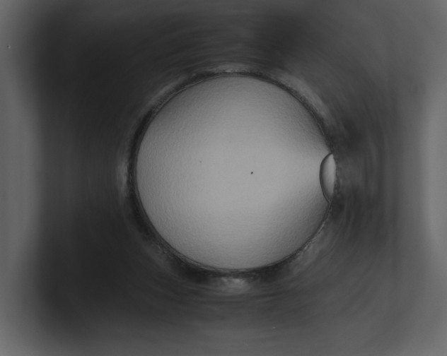 X0000100950159200807151344