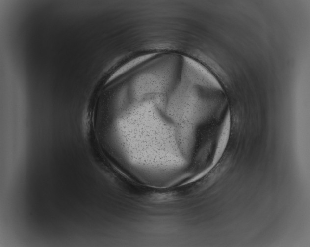 X0000100950160200807151344