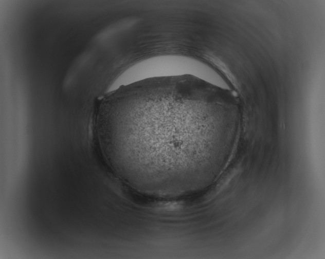 X0000100950161200807151344