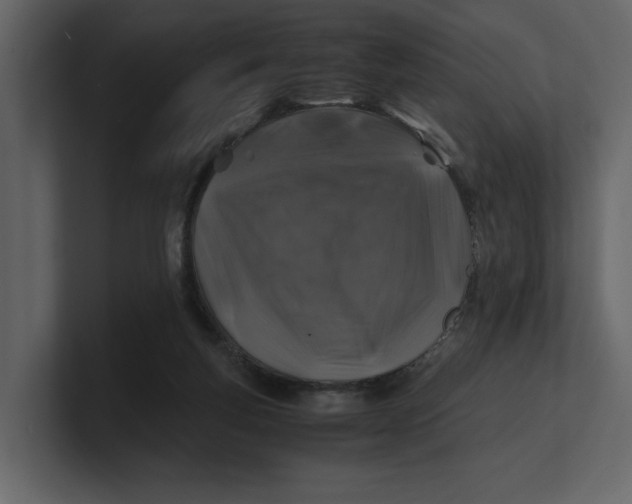 X0000100950163200807151344