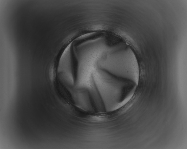 X0000100950164200807151344