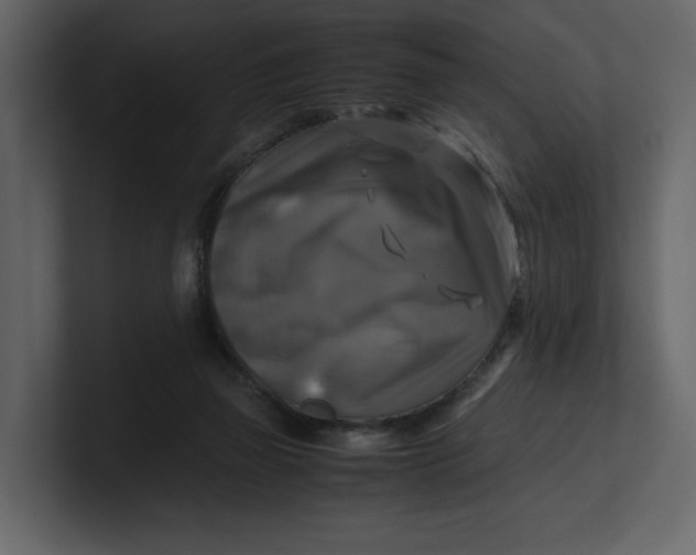 X0000100950165200807151344