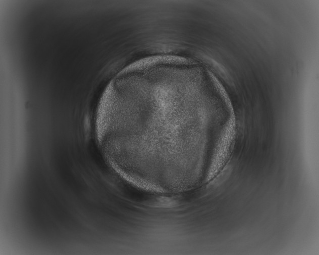 X0000100950166200807151344