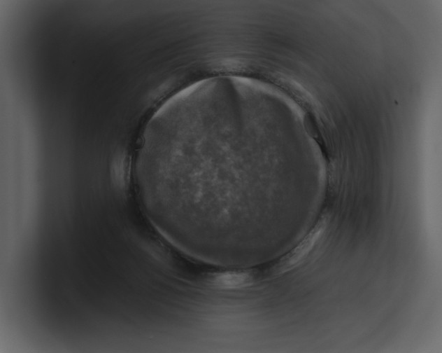 X0000100950168200807151344