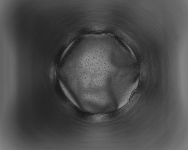 X0000100950172200807151344