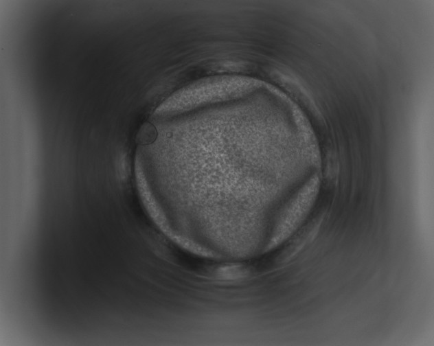 X0000100950173200807151344