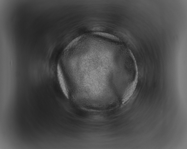 X0000100950175200807151344