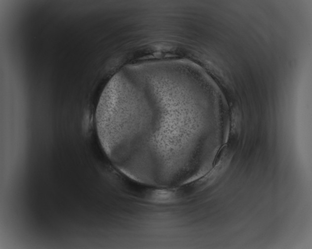 X0000100950176200807151344