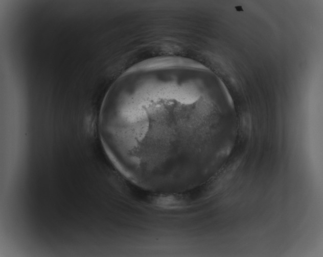 X0000100950177200807151344