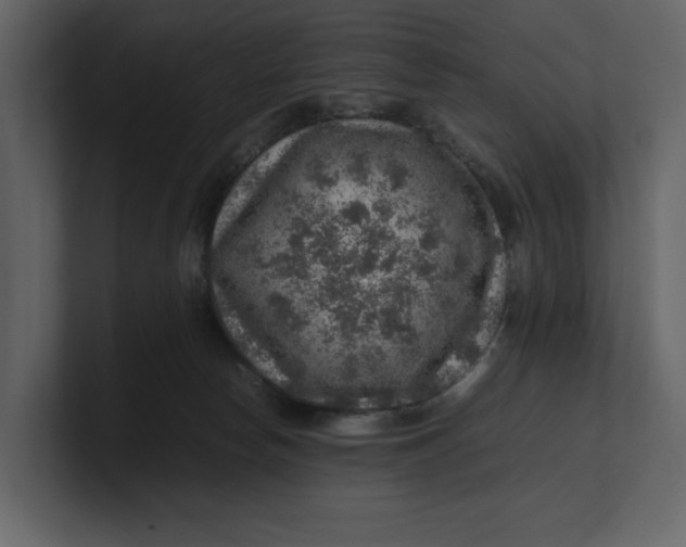 X0000100950178200807151344