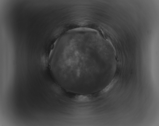 X0000100950180200807151344