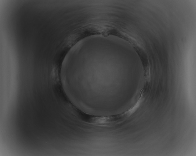 X0000100950182200807151344