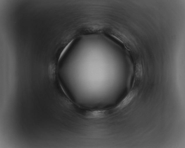 X0000100950184200807151344