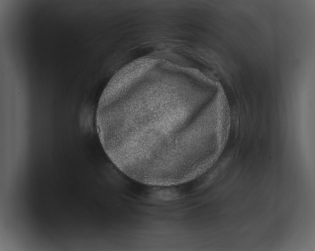 X0000100950185200807151344