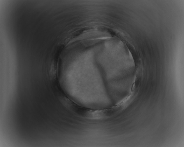 X0000100950186200807151344