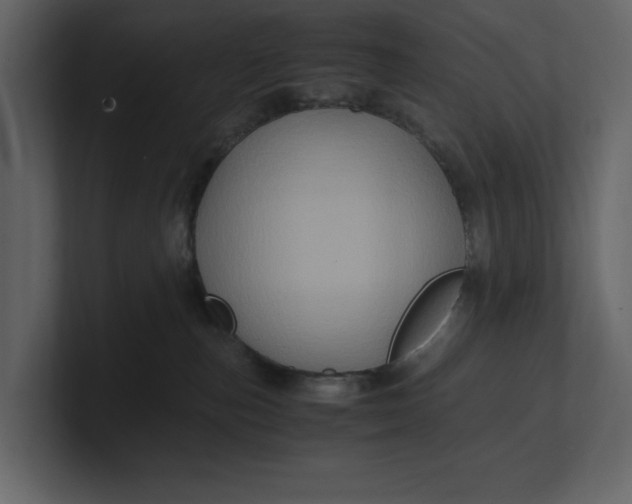 X0000100950187200807151344