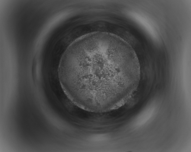 X0000100950189200807151344