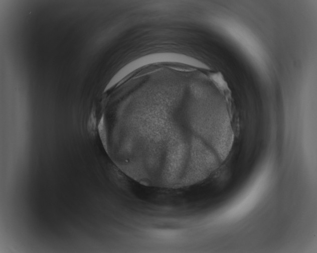 X0000100950190200807151344