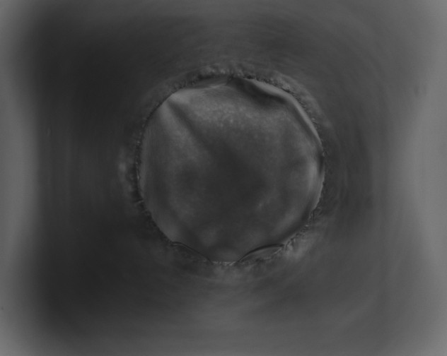 X0000100950192200807151345