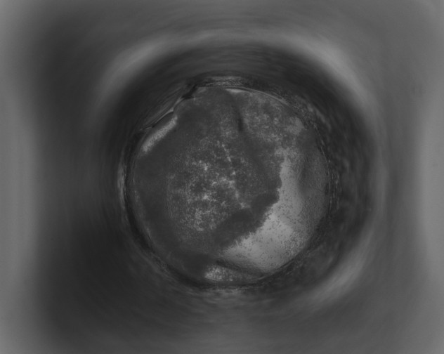 X0000100950194200807151344