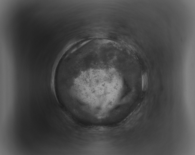 X0000100950195200807151344