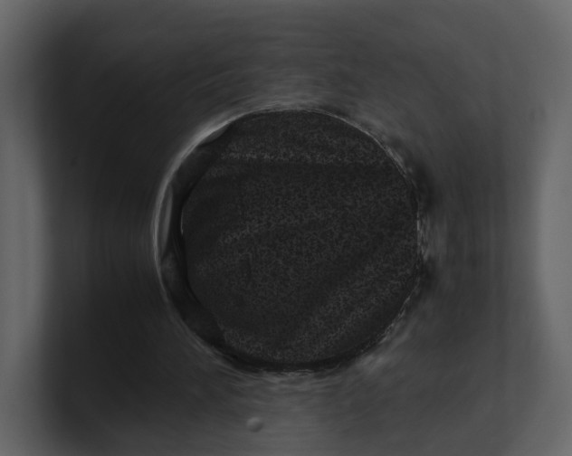 X0000100950196200807151344