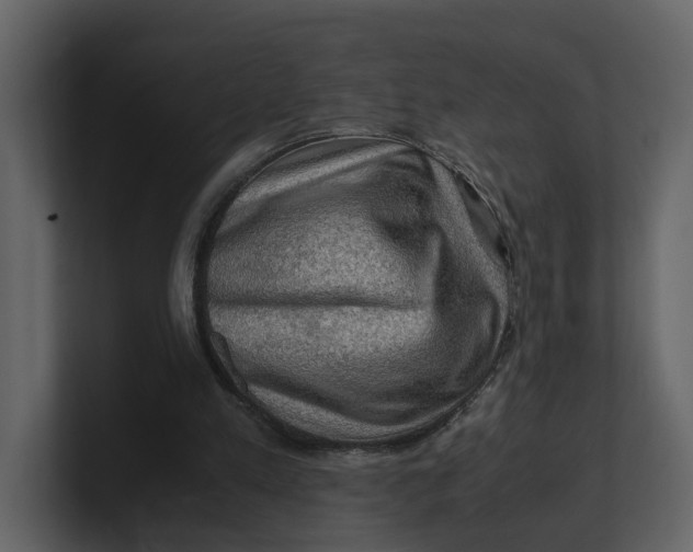 X0000100950197200807151344