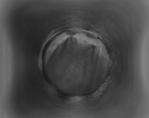 X0000100950198200807151344