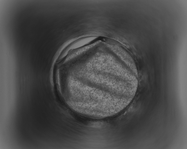 X0000100950200200807151344