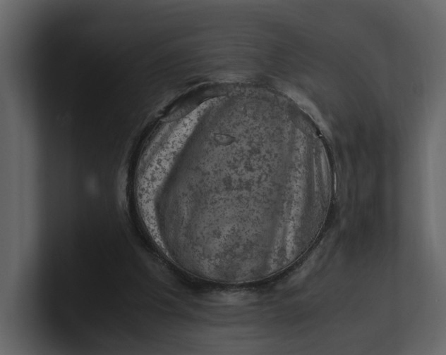 X0000100950201200807151344