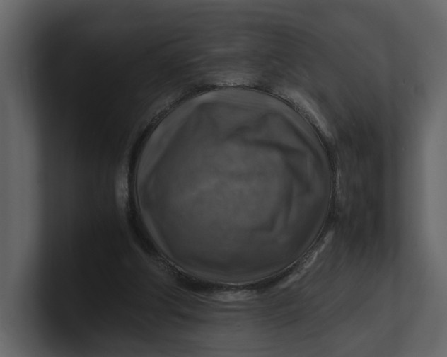 X0000100950202200807151344