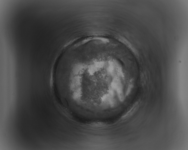 X0000100950203200807151344