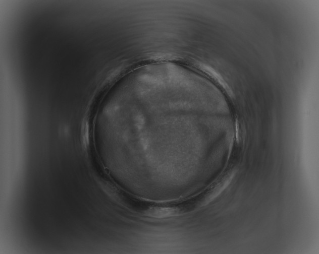 X0000100950205200807151344