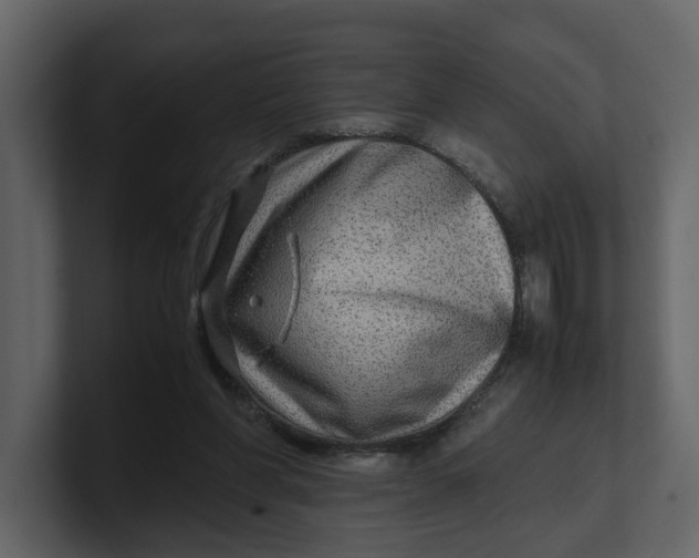 X0000100950206200807151344