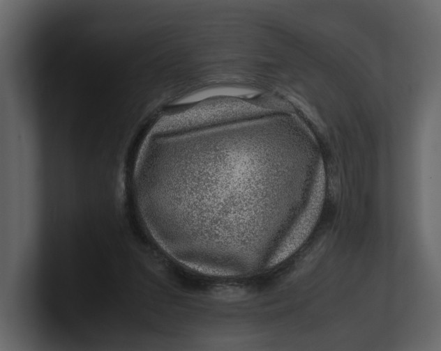 X0000100950207200807151344