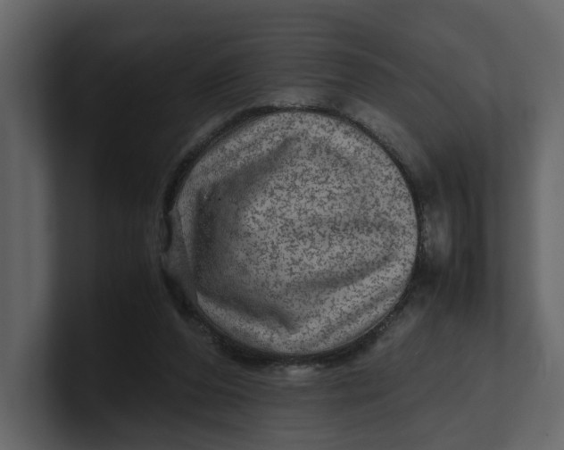 X0000100950208200807151344